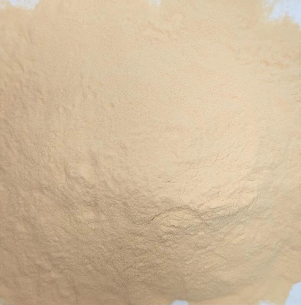 earthworm peptide powder