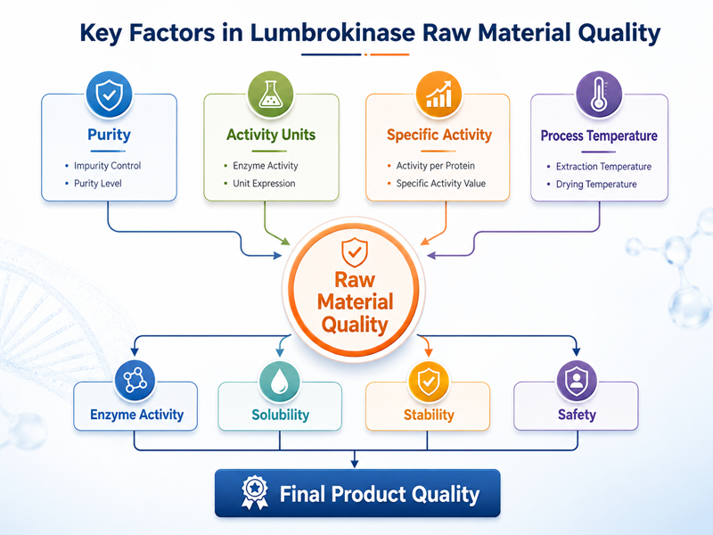 Lumbrokinase raw material quality factors for B2B enzyme ingredient evaluation