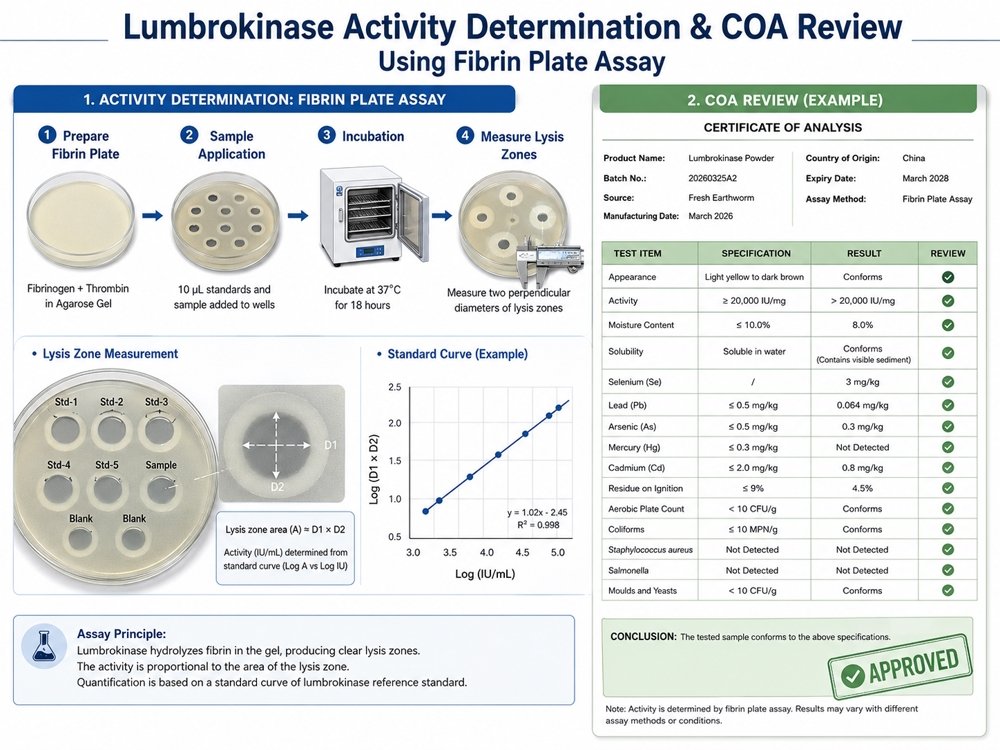 Lumbrokinase activity testing and COA review using fibrin plate assay