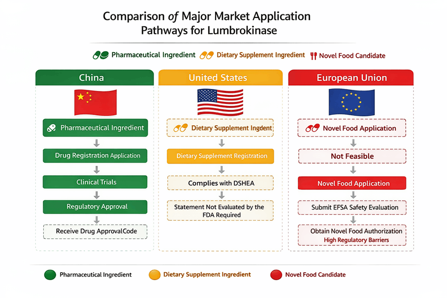 lumbrokinase benefits