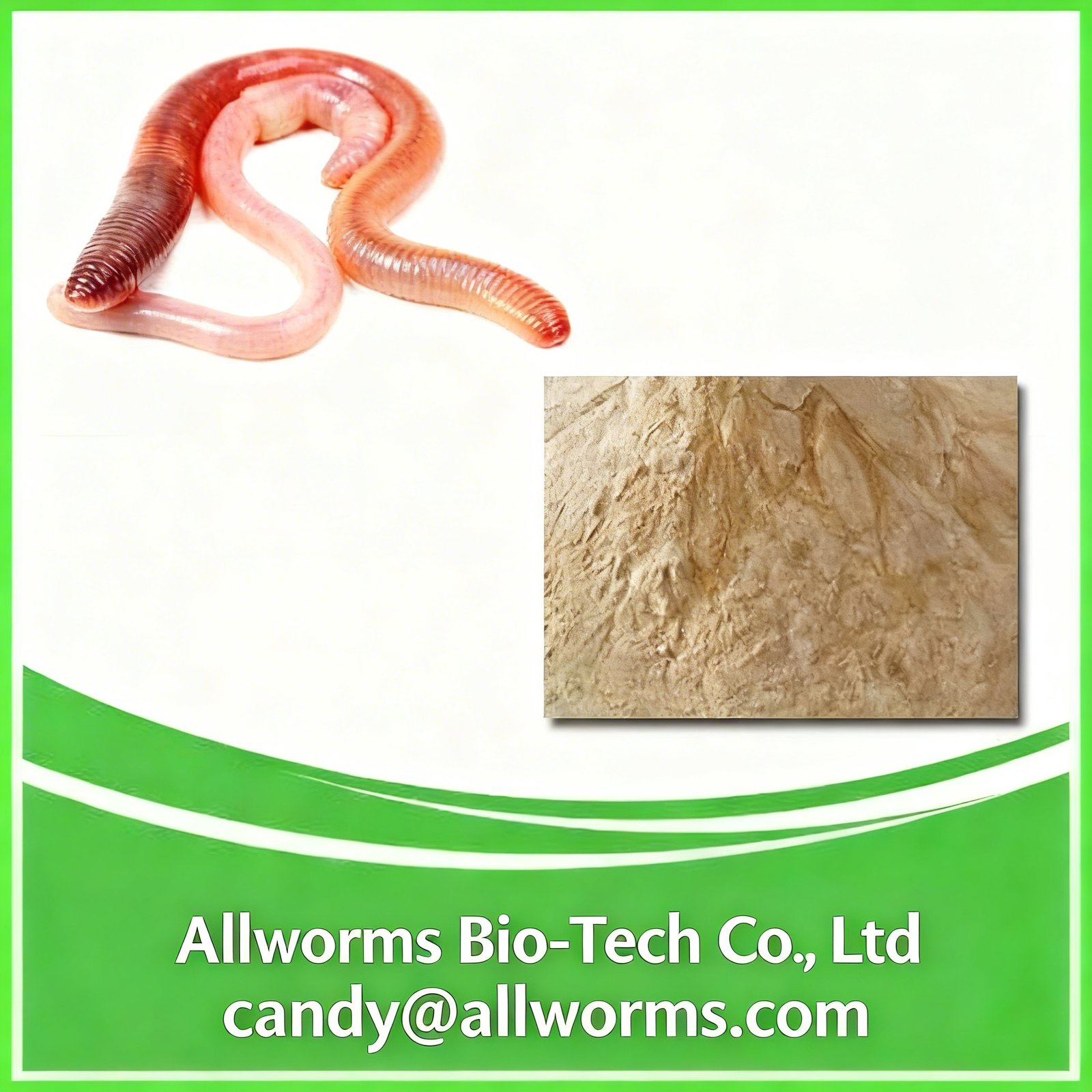 lumbrokinase supplier