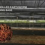 Controlled earthworm breeding beds for lumbrokinase raw material sourcing