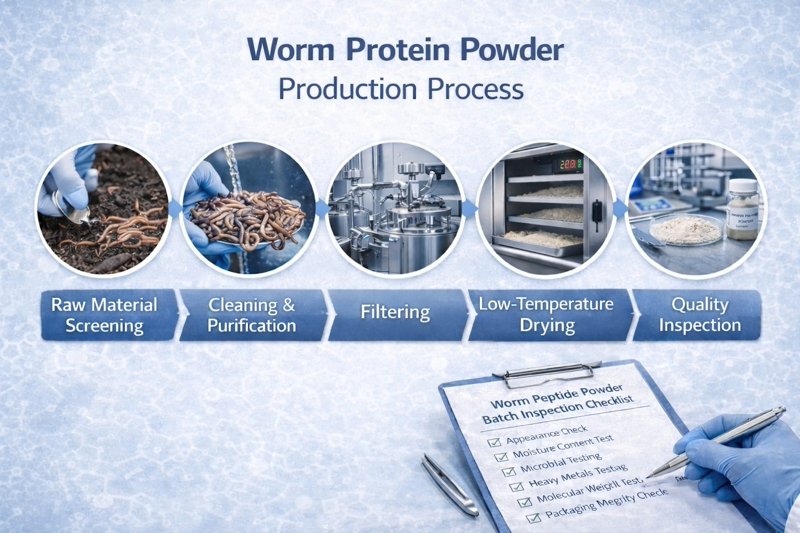 earthworm protein process