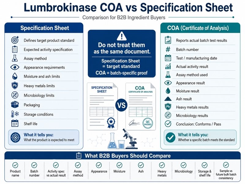 Lumbrokinase COA vs specification sheet comparison for B2B ingredient buyers
