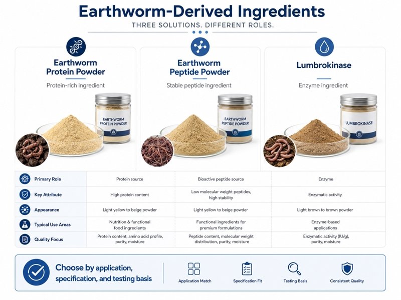 Earthworm-derived ingredients comparison showing protein powder, peptide powder and lumbrokinase for B2B formulation selection