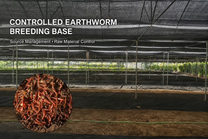 Controlled earthworm breeding base supporting raw material source management and traceability